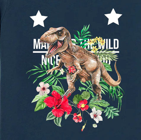Dinosaur001