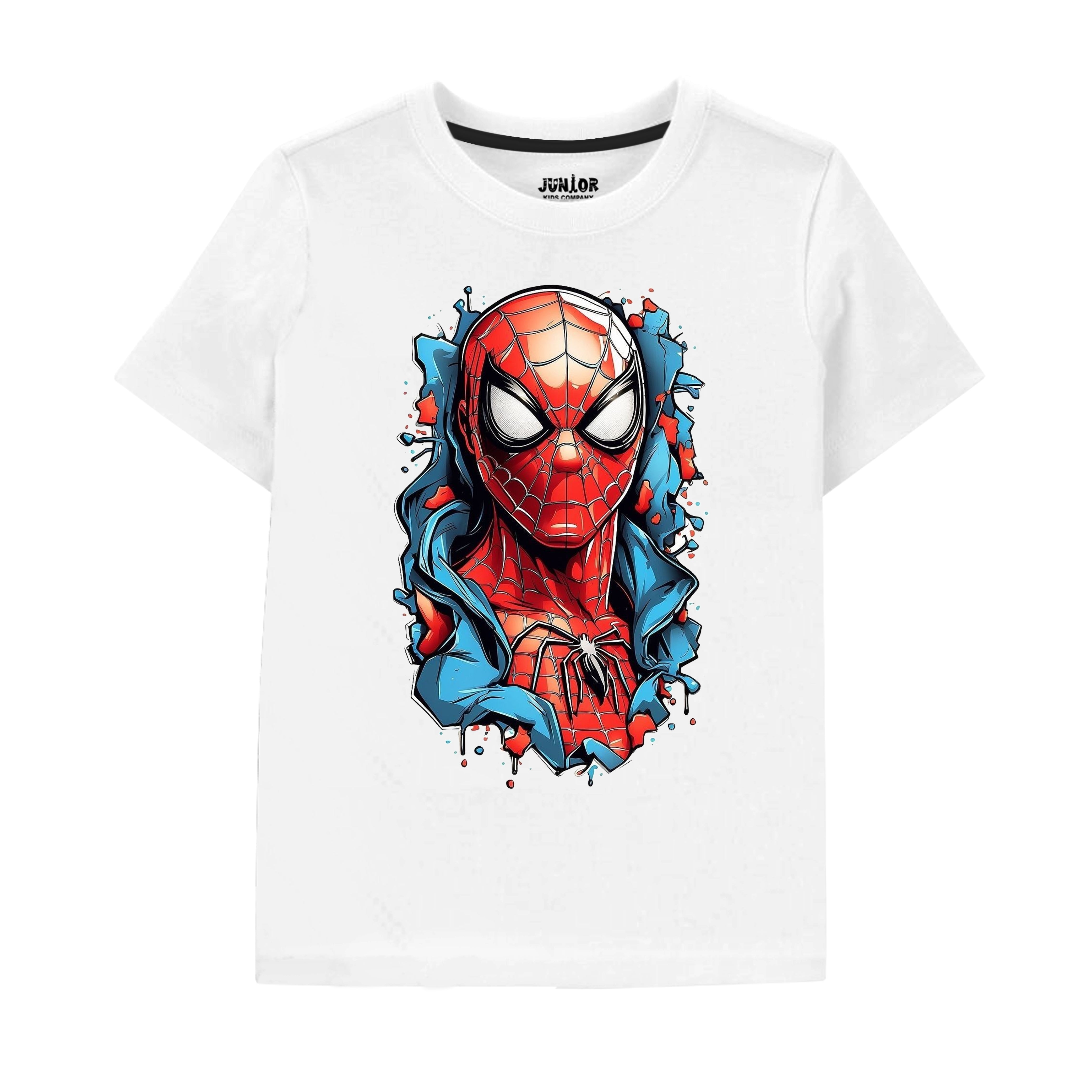 Spiderman SETS 003